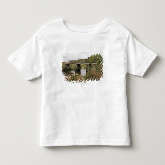 Clapper Bridge in het Nationaal Park Dartmoor Kinder Shirts