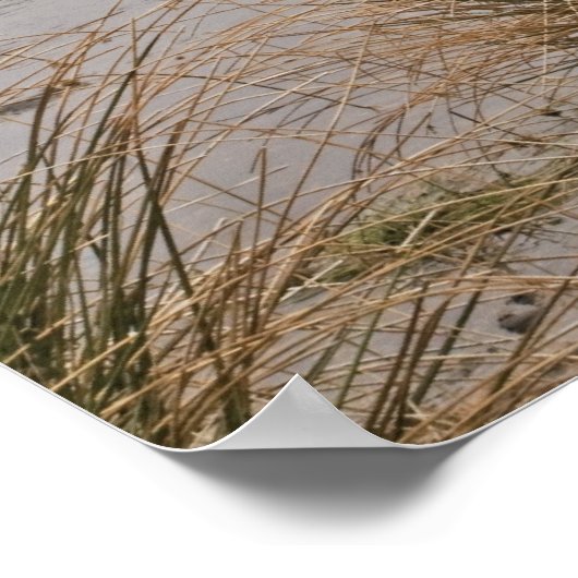 Clapper Bridge in het Nationaal Park Dartmoor Poster (Hoek)