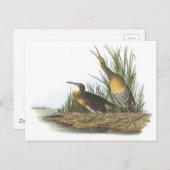 Clapper Rail van Audubon Briefkaart (Voorkant / Achterkant)