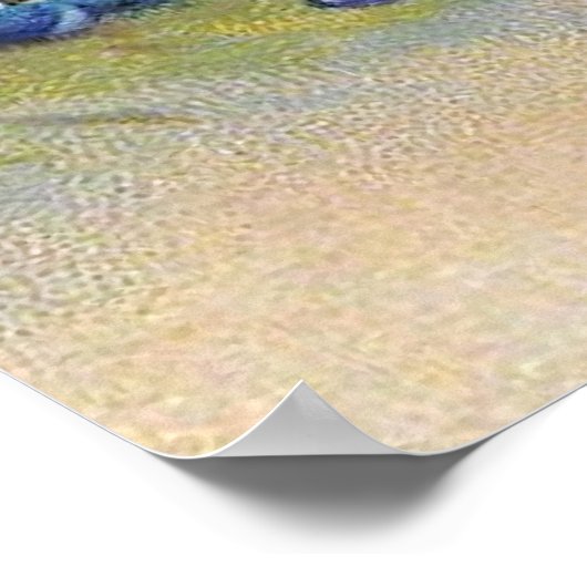 Clapsaddle: Biddy slikken Poster (Hoek)