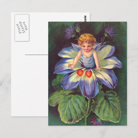 Clapsaddle: Flower Cherub Aster Briefkaart (Voorkant / Achterkant)