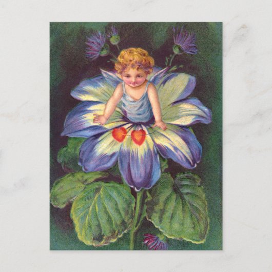 Clapsaddle: Flower Cherub Aster Briefkaart (Voorkant)