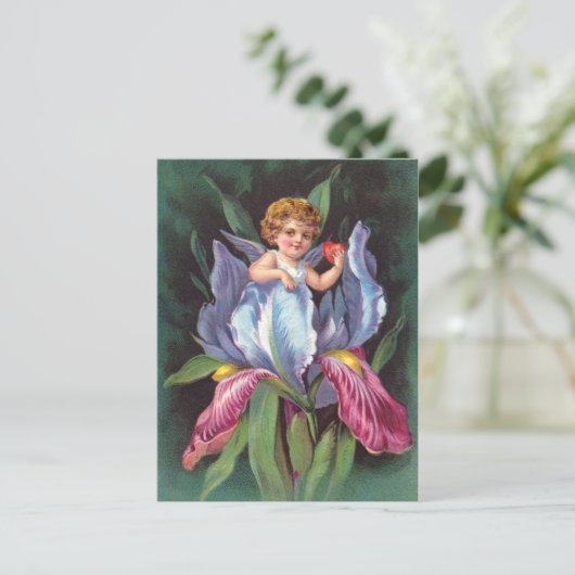 Clapsaddle: Flower Cherub Iris Briefkaart (Staand voorkant)