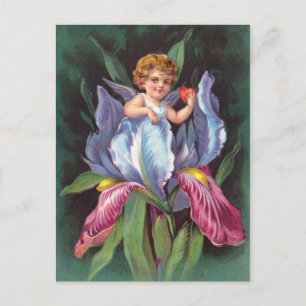 Clapsaddle: Flower Cherub Iris Briefkaart