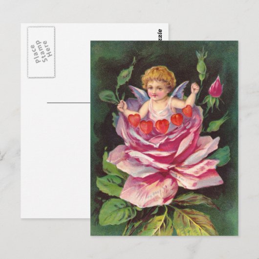 Clapsaddle: Flower Cherub Roos Briefkaart (Voorkant / Achterkant)