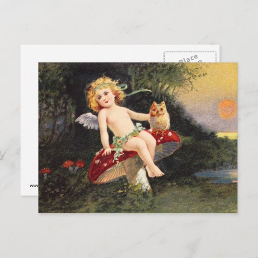 Clapsaddle: Kleine Cherub op paddenstoel Briefkaart (Voorkant / Achterkant)