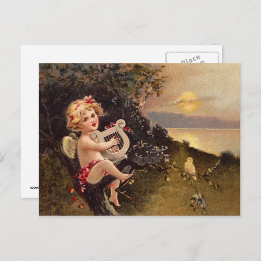 Clapsaddle: Little Cherub met Harp Briefkaart (Voorkant / Achterkant)