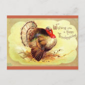 Clapsaddle Turkey Happy Thanksgiving Feestdagenkaart (Voorkant)