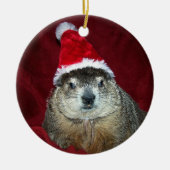 Clara Groundhog Ornament 2 (Voorkant)