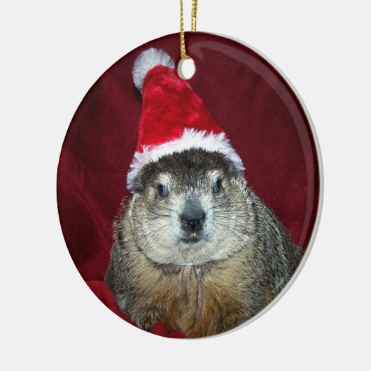 Clara Groundhog Ornament 2 (Links)