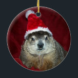 Clara Groundhog Ornament 2<br><div class="desc">Een ander siermiddel met de schattige Clara.  Foto van The Rodent Reader Quarterly magazine. www.rodentreader.com</div>