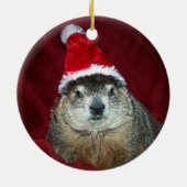 Clara Groundhog Ornament 2 (Achterkant)