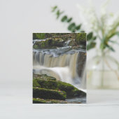Clare Glens Waterval Briefkaart (Staand voorkant)