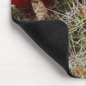 Claret Cup cactus bloemen 2 Muismat (Hoek)