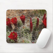 Claret Cup cactus bloemen 2 Muismat (Met muis)