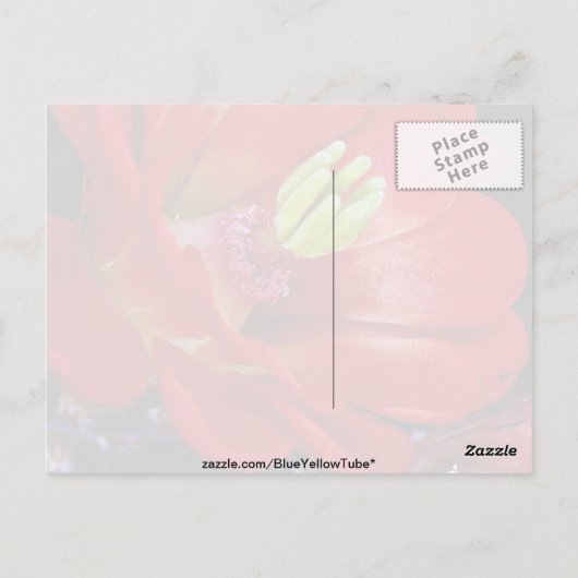 Claret cup cactus (Echinocereus triglochidiatus) Briefkaart (Achterkant)