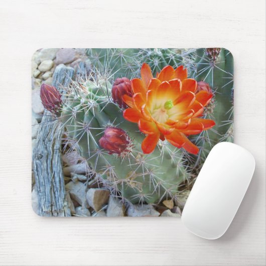 Claret Cup Cactus Flower Mousepad Muismat (Met muis)
