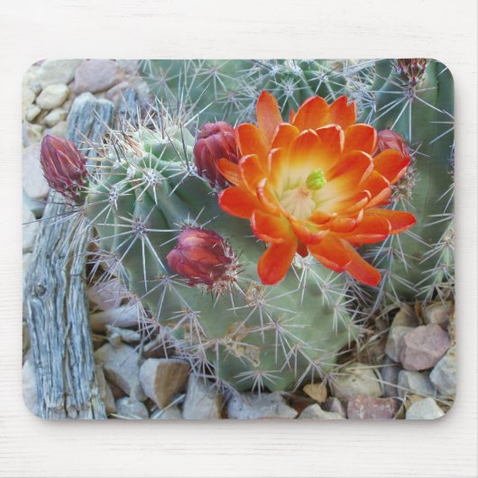 Claret Cup Cactus Flower Mousepad Muismat (Voorkant)