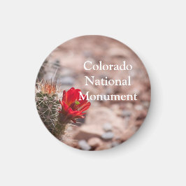 Claret Cup Cactus in Colorado Nationaal Monument Magneet