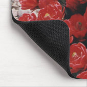 claret cup cactus muismat (Hoek)