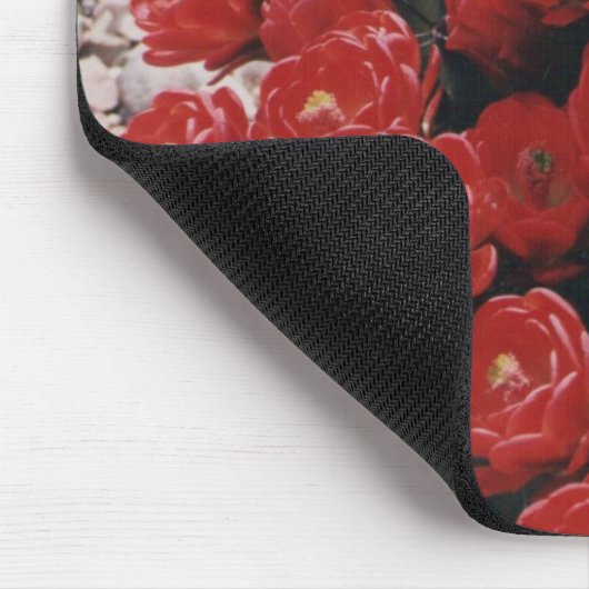 claret cup cactus muismat (Hoek)