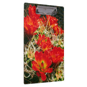 Claret Cup Cactus Wildbloemen Klembord (Rechts)