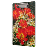 Claret Cup Cactus-wilde bloemen Klembord (Links)