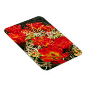 Claret Cup Cactus Wilde Bloemen Magneet (Rechterzijde)