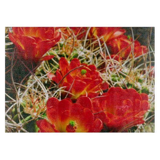 Claret Cup Cactus-wildebloemen Snijplank (Voorkant)