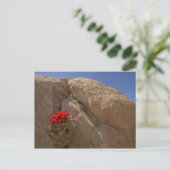 Claret cup of Mojave mound cactus in bloei Briefkaart (Staand voorkant)
