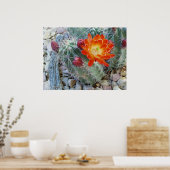 Claret Cup Poster (Keuken)