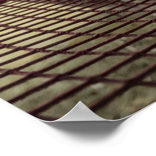 Claret Hammock Digitale Foto Poster (Hoek)