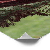 Claret Hammock Sun Pet Zonnebril Poster (Hoek)