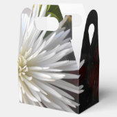 Claricia Bedankdoosjes (Geopend)