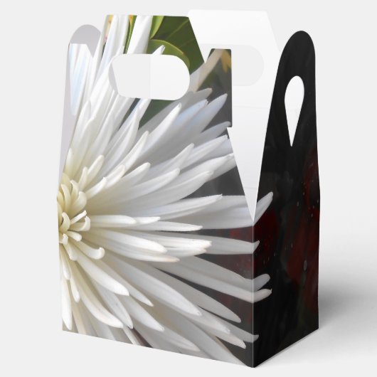 Claricia Bedankdoosjes (Geopend)