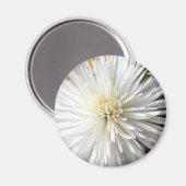 Claricia Magneet (Voorkant / Achterkant)