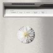 Claricia Magneet (Insitu (Vaatwasser))