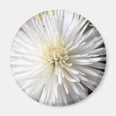 Claricia Magneet (Voorkant)