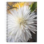 Claricia Notitieboek (Voorkant)