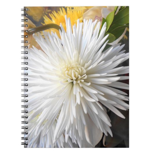 Claricia Notitieboek (Voorkant)