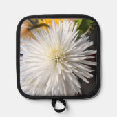 Claricia Pannenlap (Voorkant)