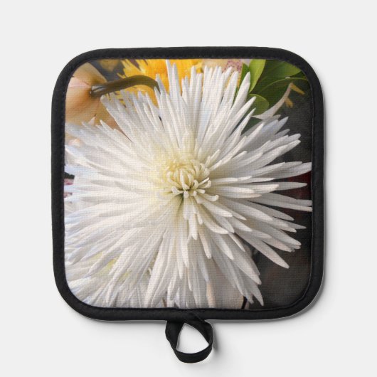 Claricia Pannenlap (Voorkant)