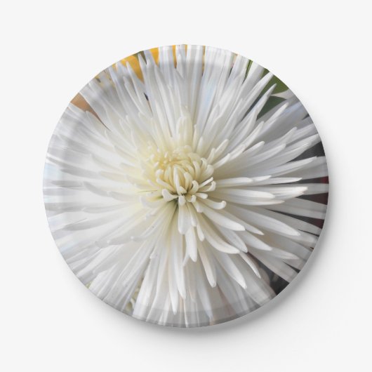 Claricia Papieren Bordje (Voorkant)