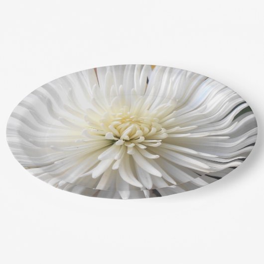 Claricia Papieren Bordje (Gekanteld)