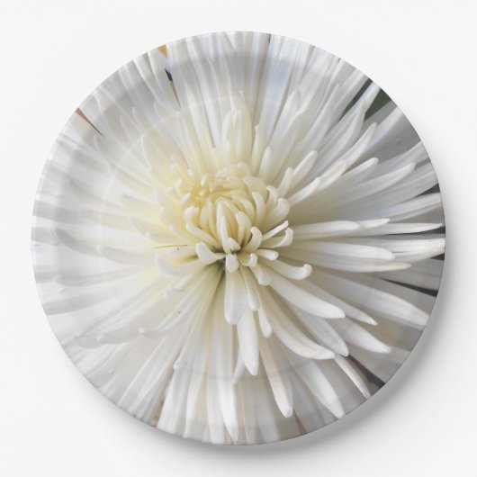 Claricia Papieren Bordje (Voorkant)