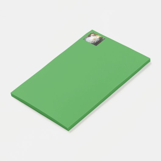 Claricia Post-it® Notes (Schuin)