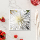 Claricia Servetten (Insitu)