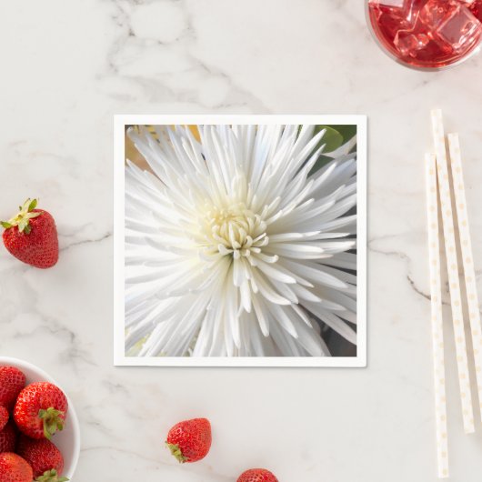 Claricia Servetten (Insitu)