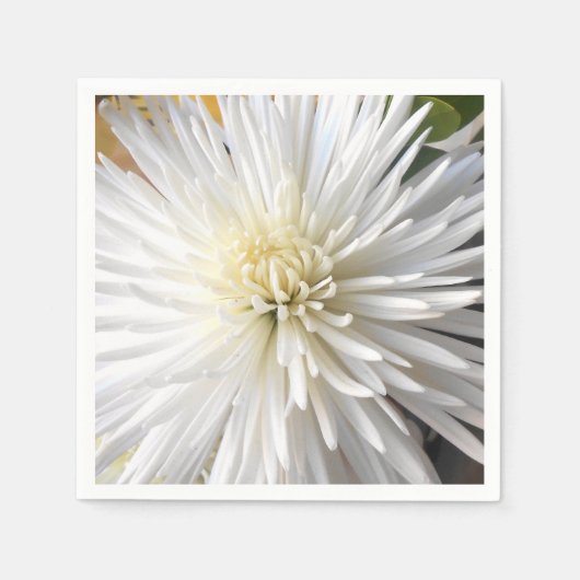 Claricia Servetten (Voorkant)