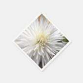 Claricia Servetten (Hoek)